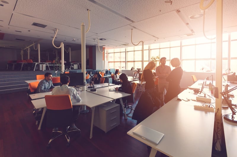 Wolkk_302800204 Large